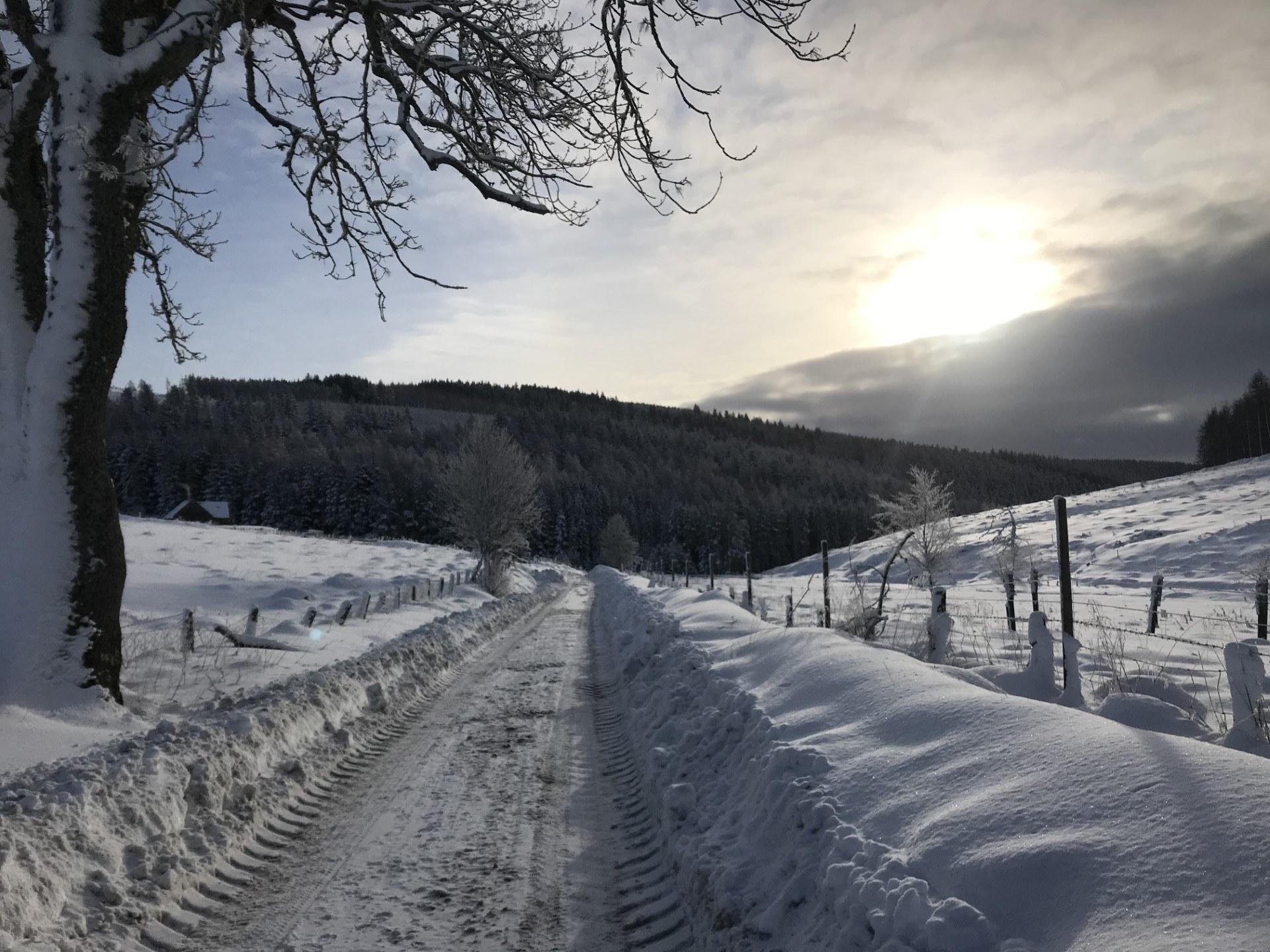 A single track road which has been snow ploughed with a bank of snow either side
