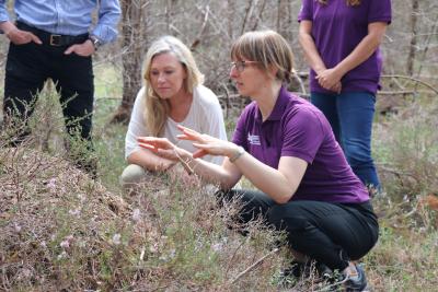 Two people crouched beside a wood ant nest, with heather in the foreground and woodland in the background.