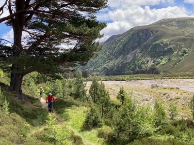 two people cycling with trees above them and alongsude a river.