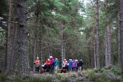Group of people on a Heath Walk, two of the people are in mobility scooters and the rest are walking.