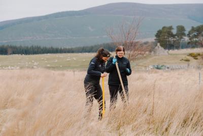 Two people in a field planting trees