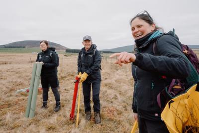 Three people in a field holding tools for planting trees