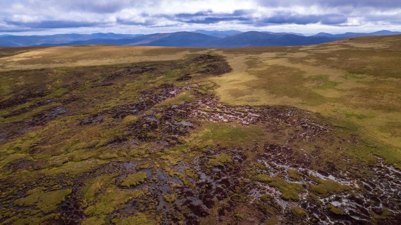 Aerial view of high altitude peatland habitat