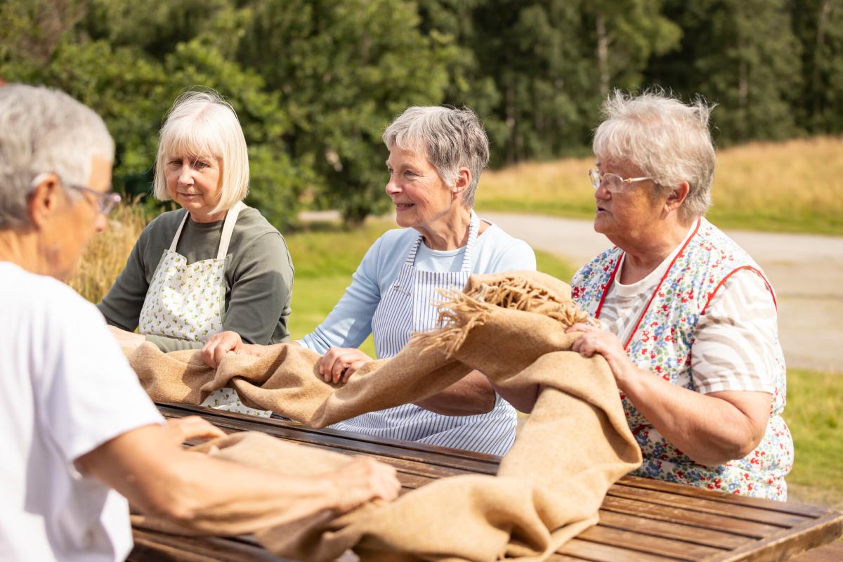 A group of four people wearing aprons sat outside at a wooden table, holding a long piece of hessian cloth between them. This is called 'waulking the cloth'.
