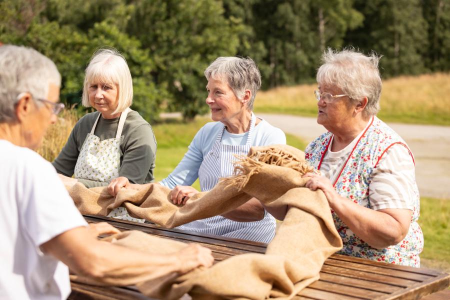 A group of four people wearing aprons sat outside at a wooden table, holding a long piece of hessian cloth between them. This is called 'waulking the cloth'.