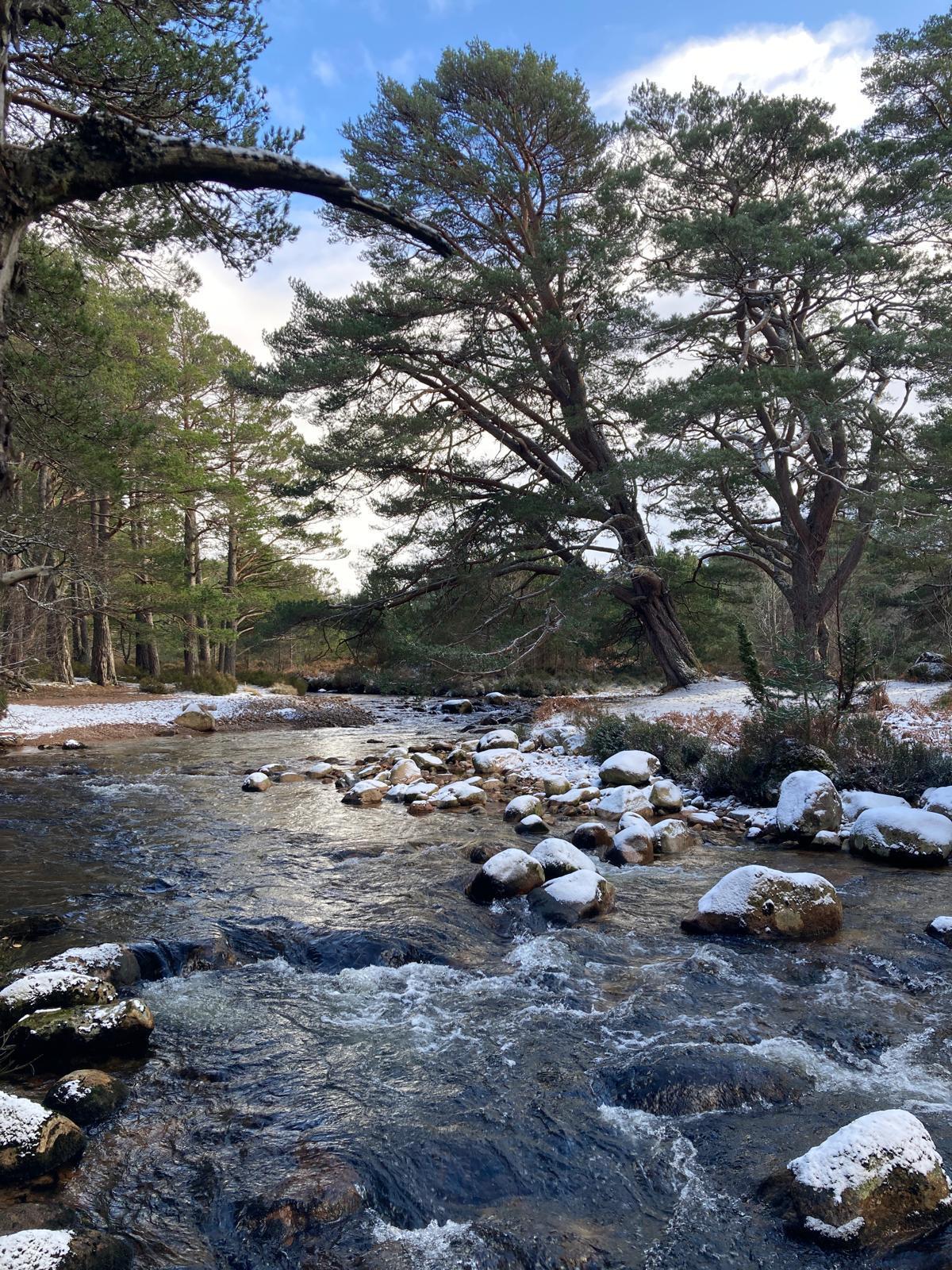 A river flowing through woodland with snow covering rocks and riverbank