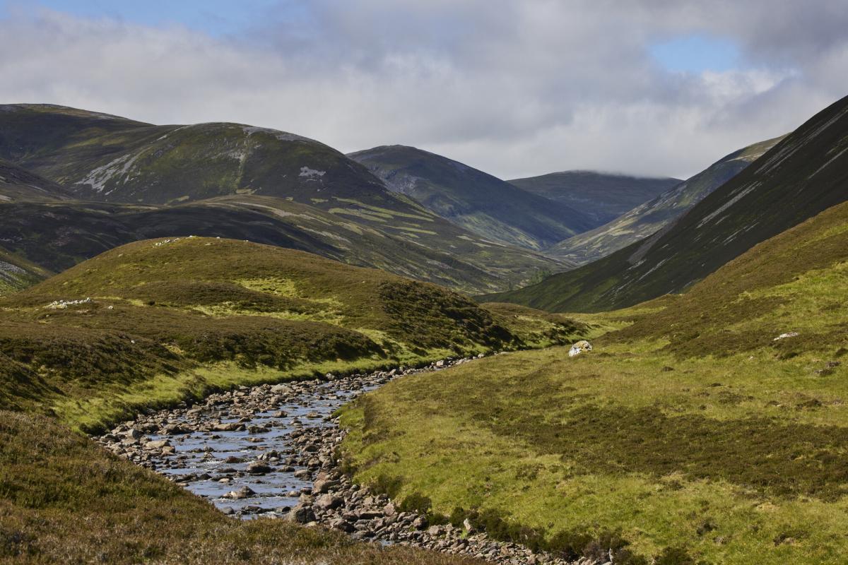 A river running through moorland at Mar Estate.