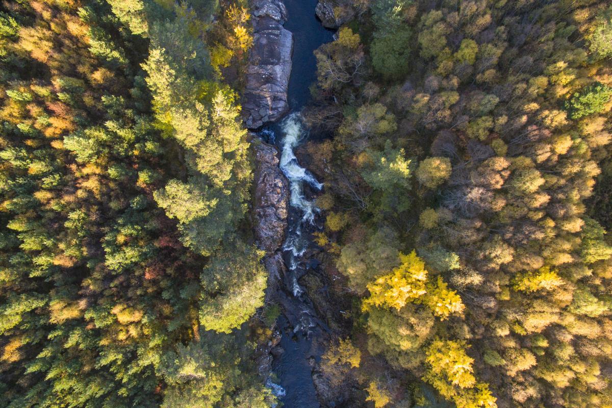 Aerial view of the Falls of Truim waterfall with surrounding trees