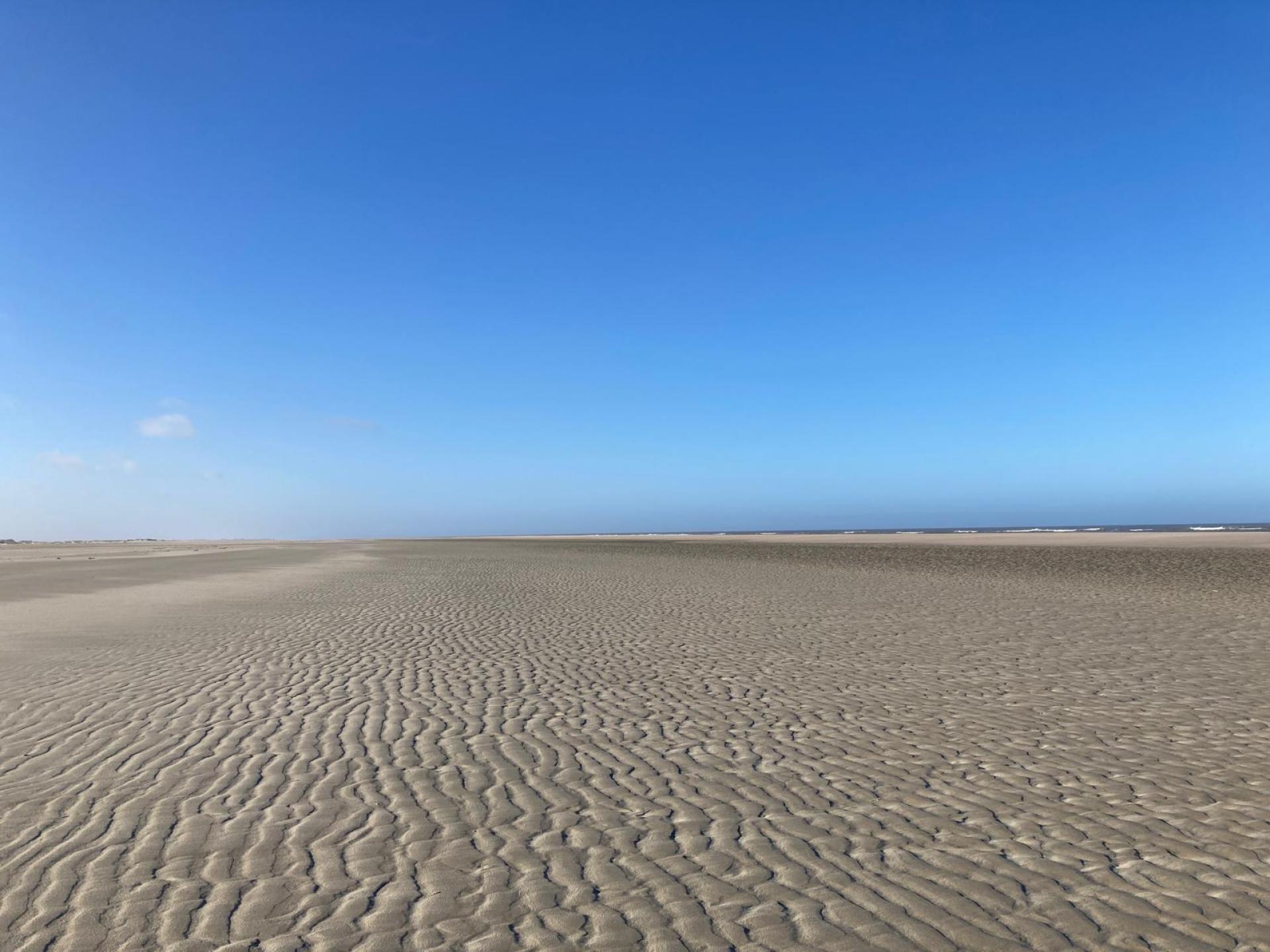 Flat sandy landscape with blue skies.