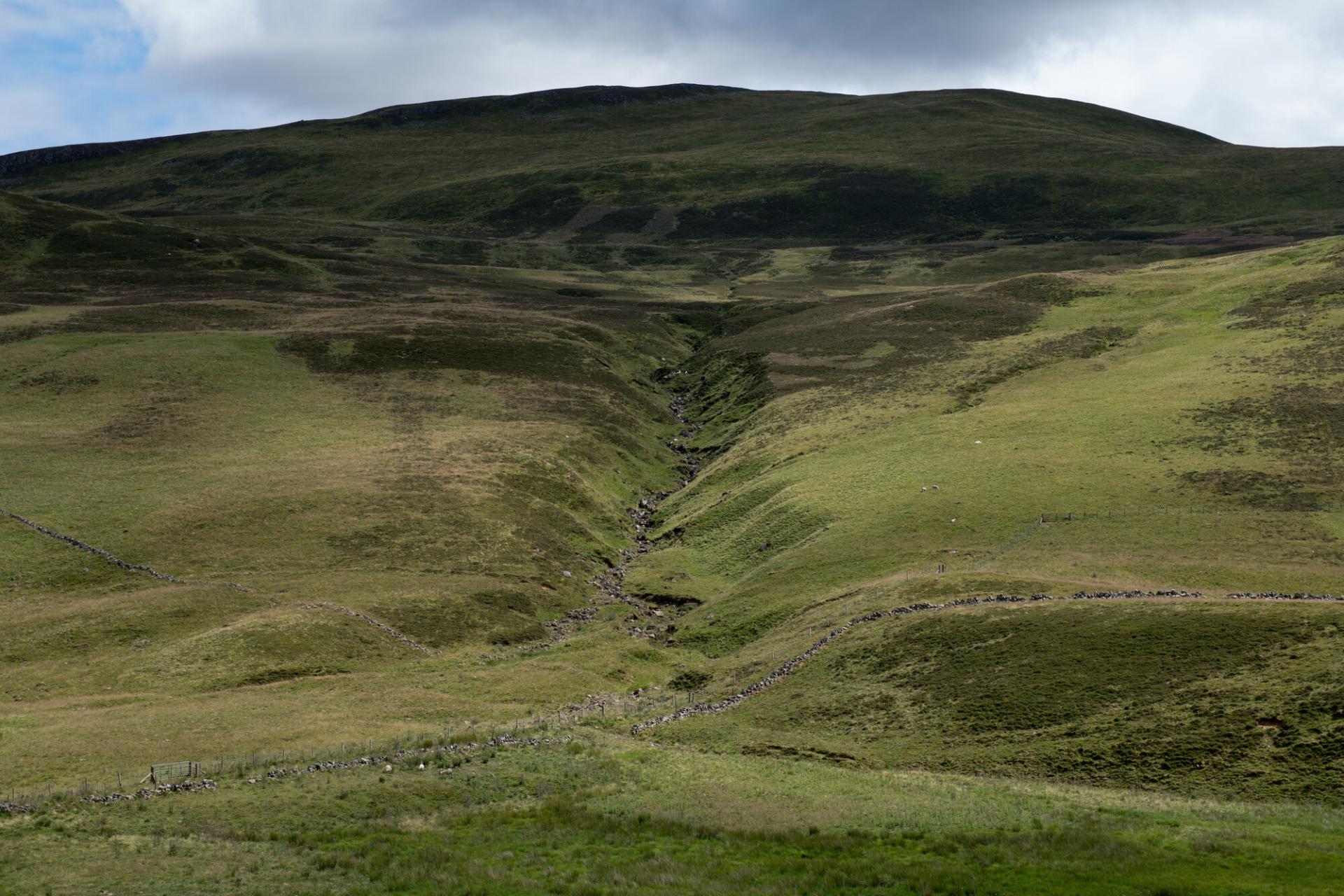 A mountain slope in Glenshee with heather and a few sheep