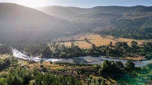 Woodland expansion in Glenfeshie