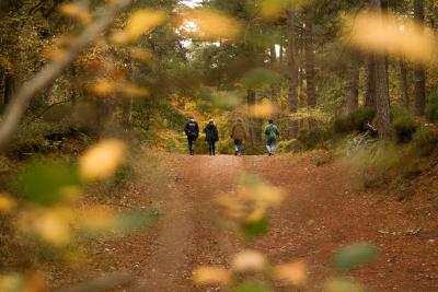 Four people walking on a wide path in Anagach woods