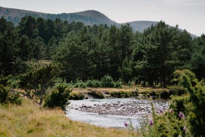 River with grass in the foreground with trees and mountains in the background