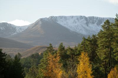 The first snow of the season on Cairn Lochan