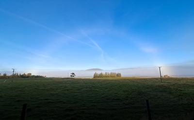 A fog bow in the mist over Insh marshes
