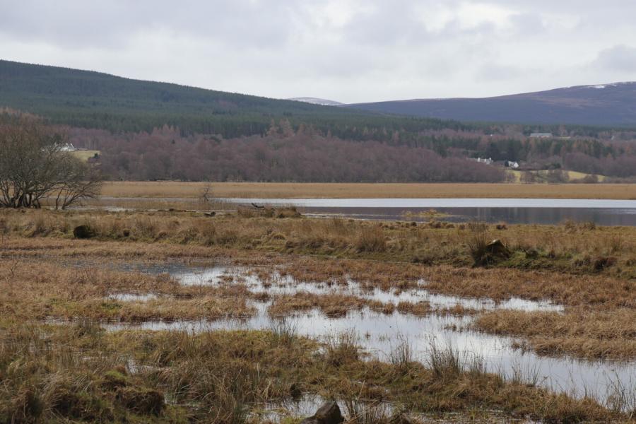 Wet marshland with lochan beyond and hills in the distance