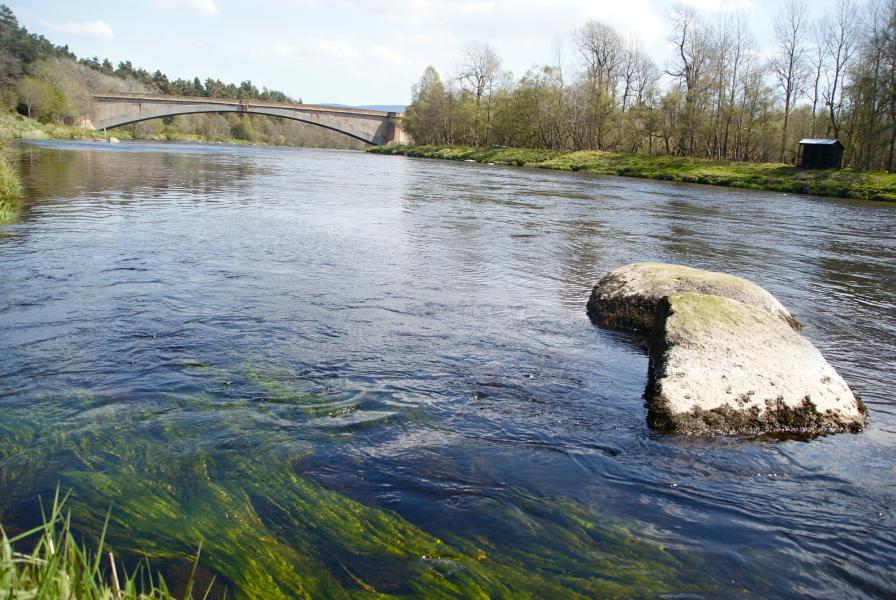 A flowing River Spey with bridge in the distance