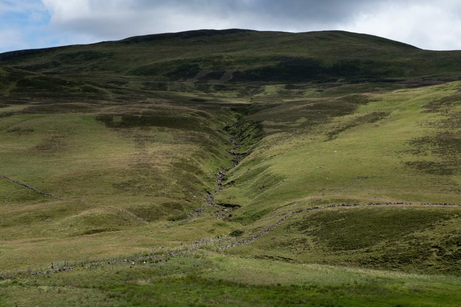 A mountain slope in Glenshee with heather and a few sheep