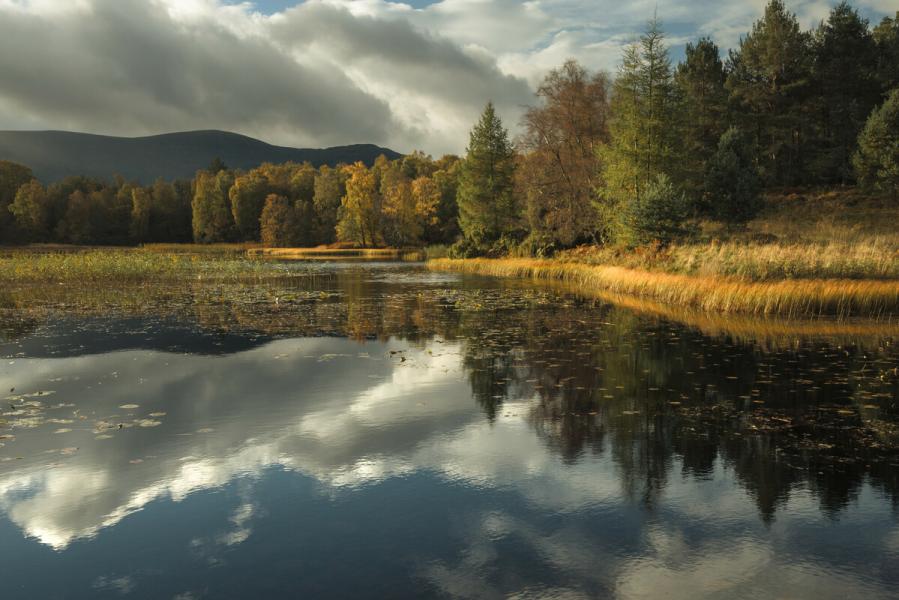 Lochan Mor at Rothiemurchus Forest.
