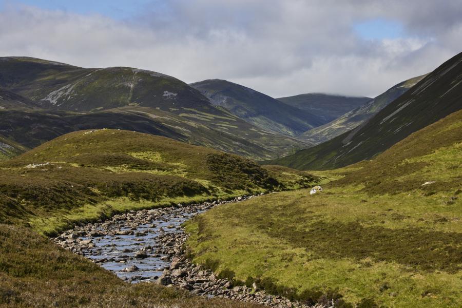 A river running through moorland at Mar Estate.