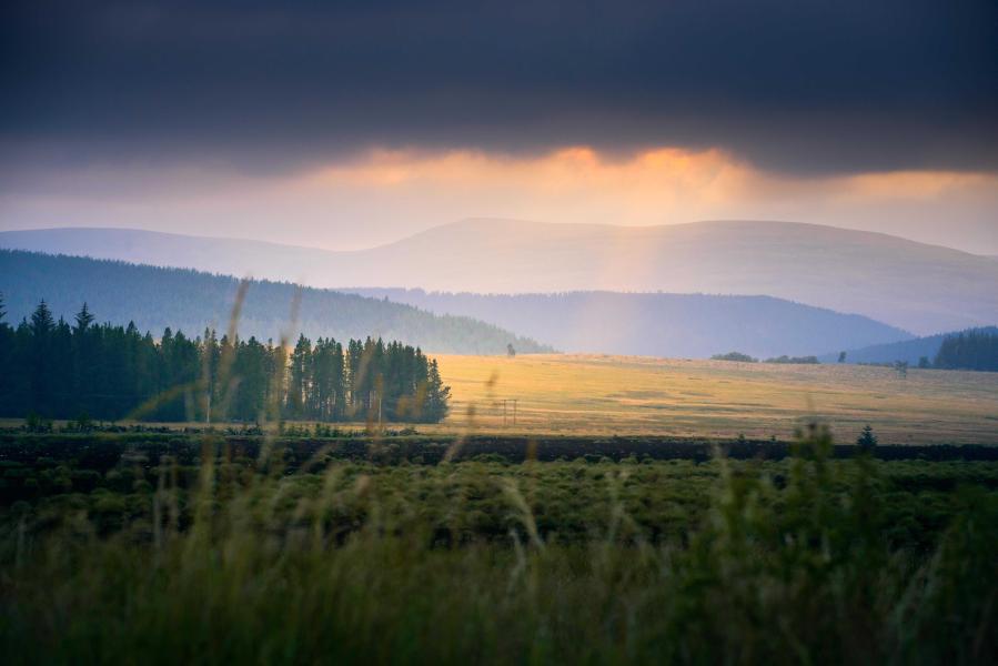 Glenlivet landscape