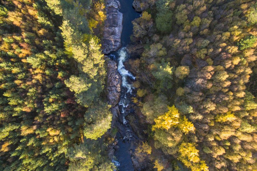 Aerial view of the Falls of Truim waterfall with surrounding trees