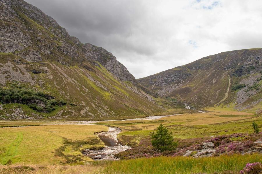 Scenic image of the angus glens and hills