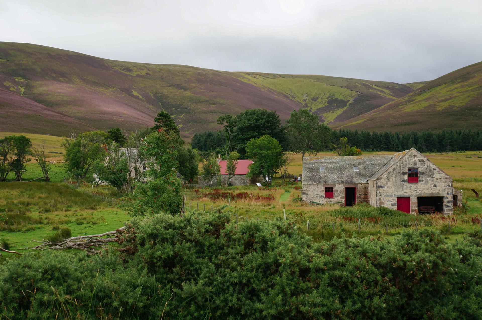 Three buildings in a rural setting with trees and hills in the background.