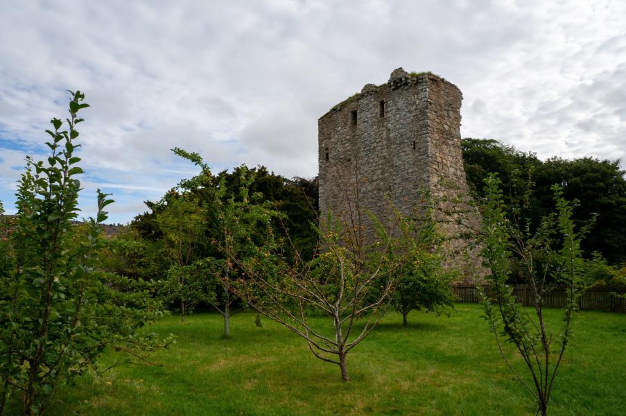 Drumin Castle and community orchard.