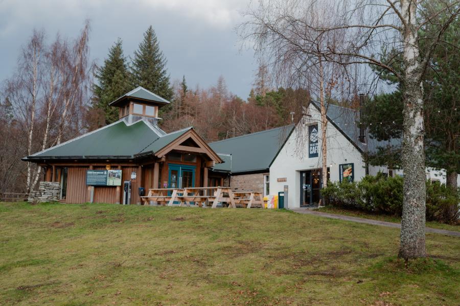 A timber and white building on a grassy slope with pinewood in the background.