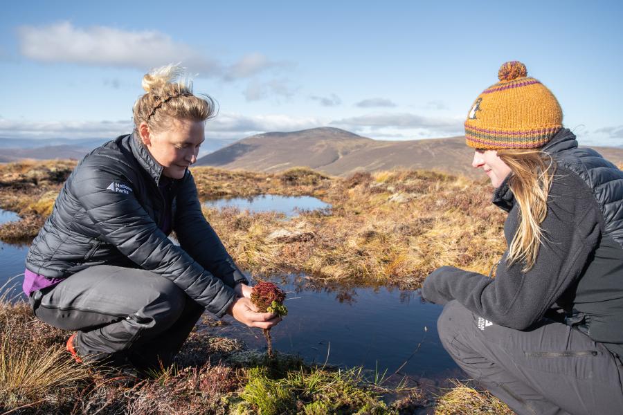 Two people crouching down by a pool on a peat bog, one is squeezing a clump of moss