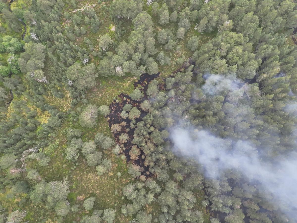 An aerial drone shot of woodland impacted by the Glenmore wildfire, including smoke rising