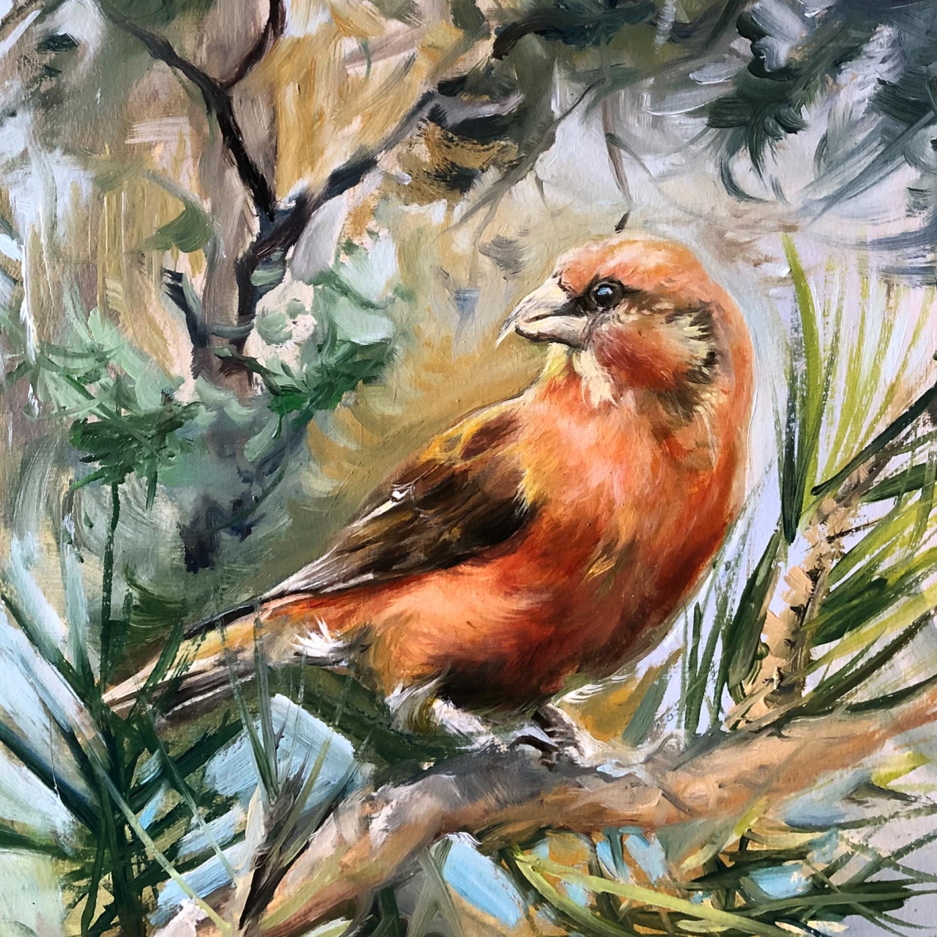 Stained glass artwork showing a Scottish crossbill in orangey-pink hues, sat on a tree branch with dense foliage surrounding it.