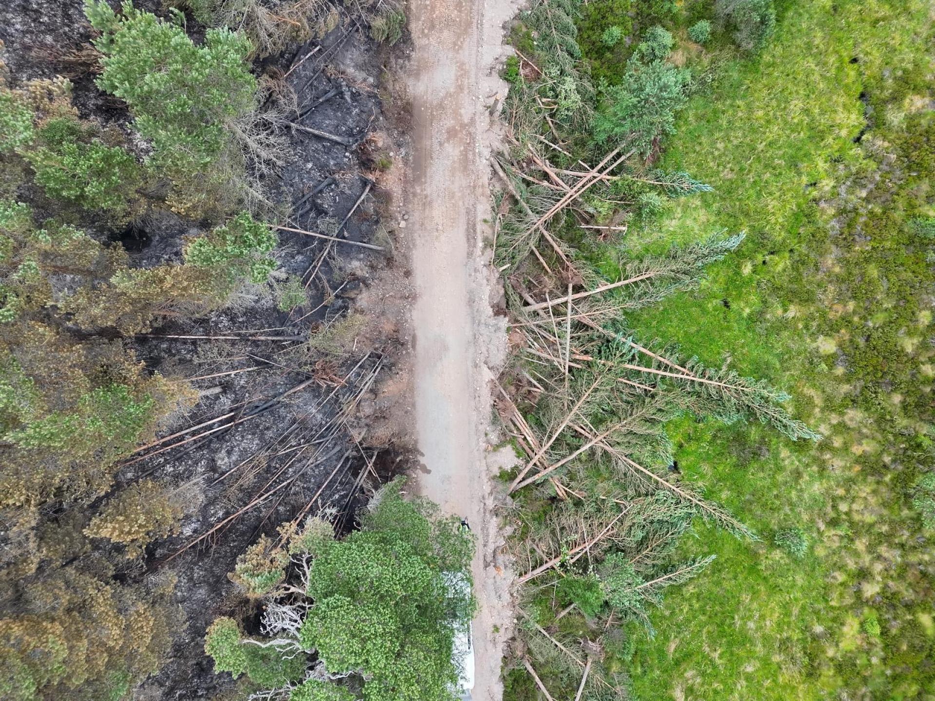 Trees felled at either side of the road to create a firebreak, preventing the further spread of the wildfire.