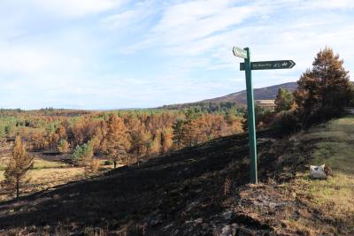 A green signpost for the Dava Way stands alongside a burned hillside with pine trees in the background - the result of a wildfire north of the National Park in June 2025.