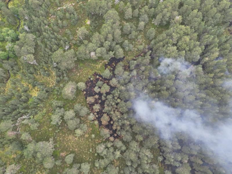 An aerial drone shot of woodland impacted by the Glenmore wildfire, including smoke rising