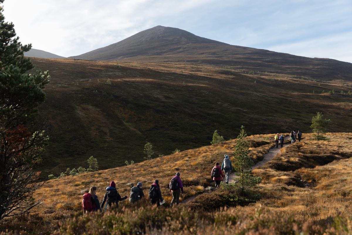 Group of people from the Community Champions Scheme walking on a mountain path.
