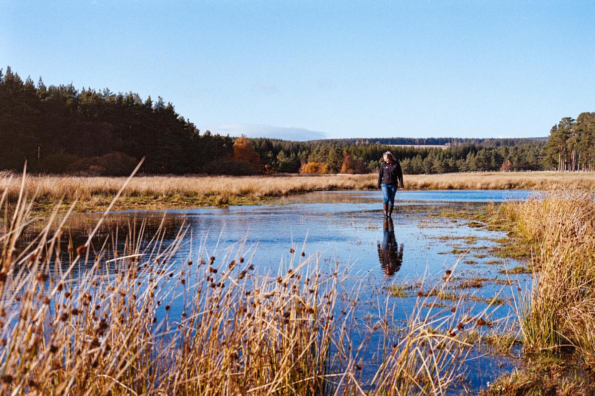 A person walking in shallow waters of the river, looking down on the water.