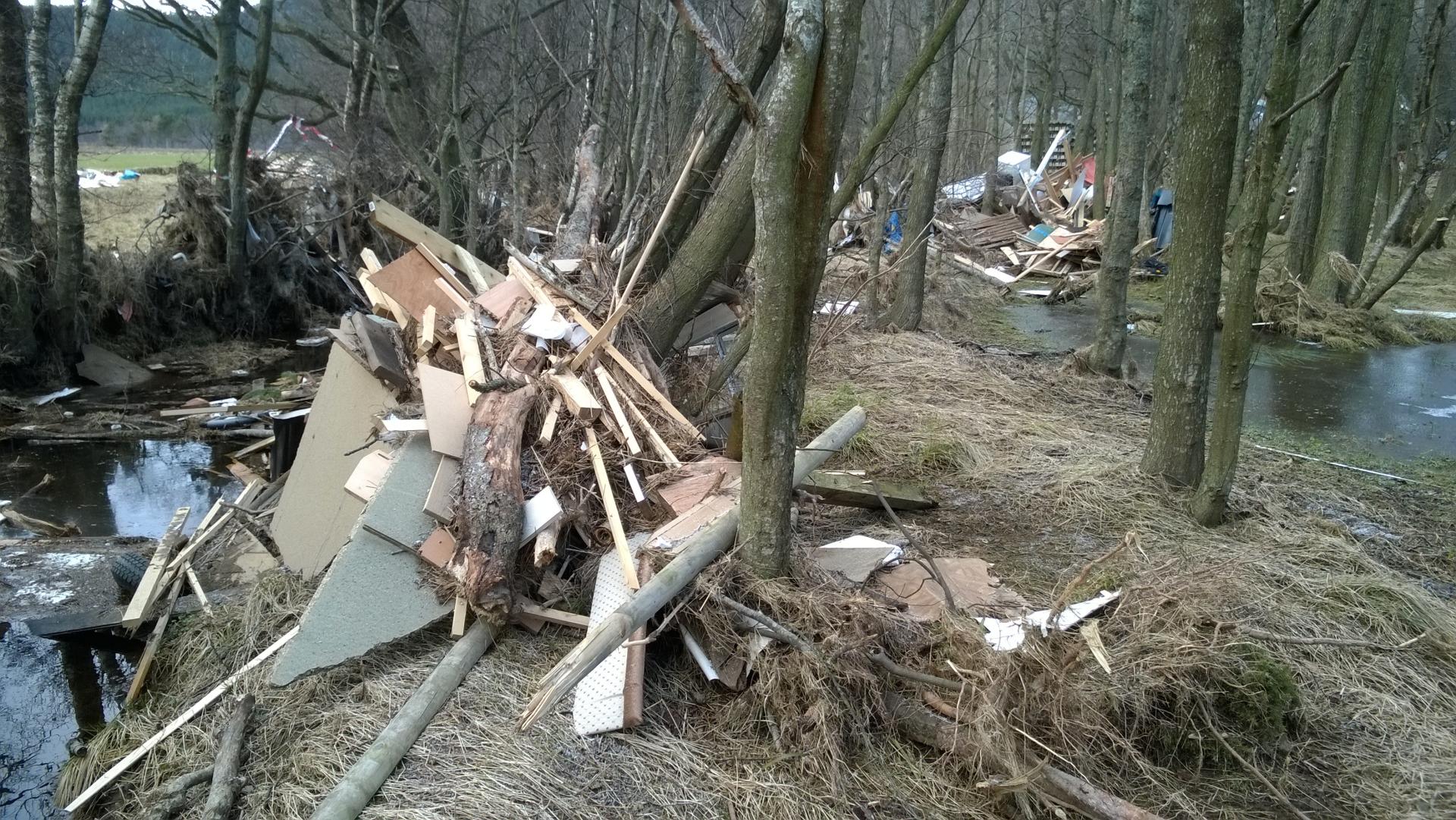 Debris piled up against trees, surrounded by puddles
