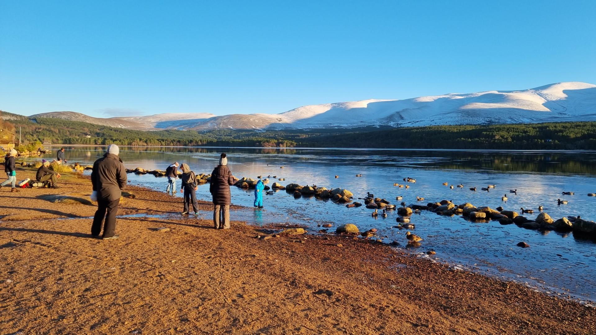 People standing beside a loch with a clear blue sky and snowy mountains behind.