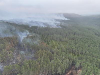 Image taken above of woodland with fire damage and smoke.