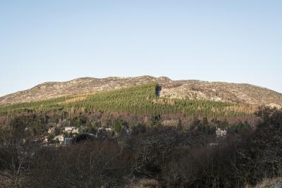 A crag with trees climging up it under a blue clear sky