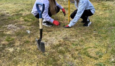 Two people plant trees with a spade stuck in the ground