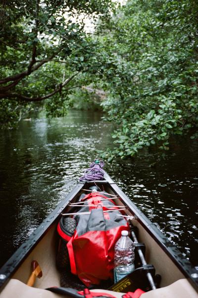 Image taken from a canoe in a river, with the end of the canoe visible and water surrounding it.