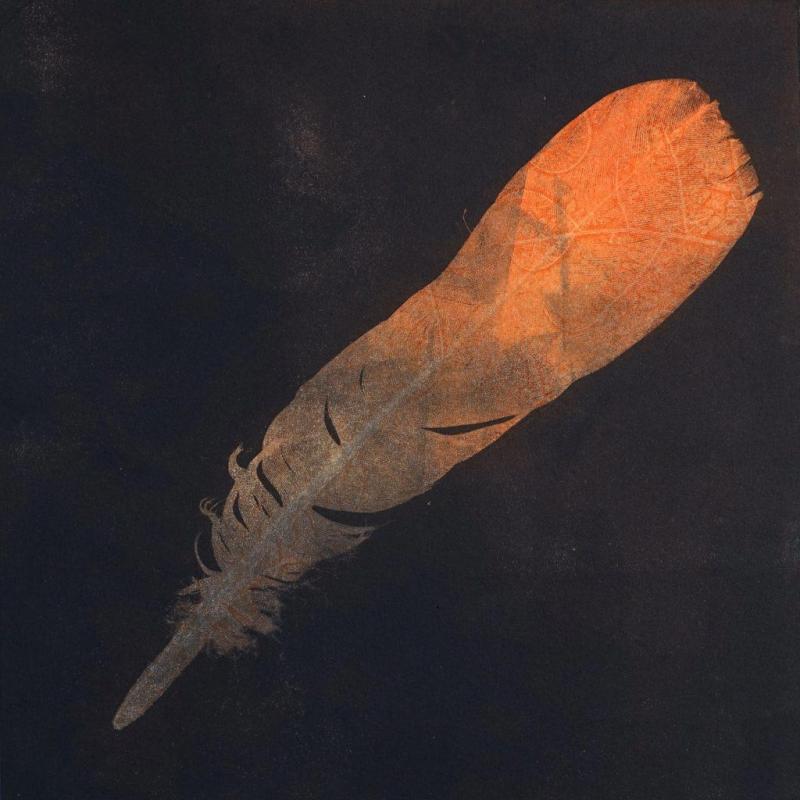 Image of artwork created by Isabel McLeish - feather