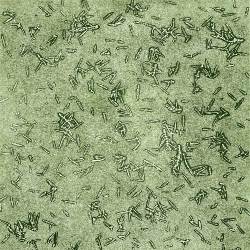 Image of artwork created by Isabel McLeish - juniper