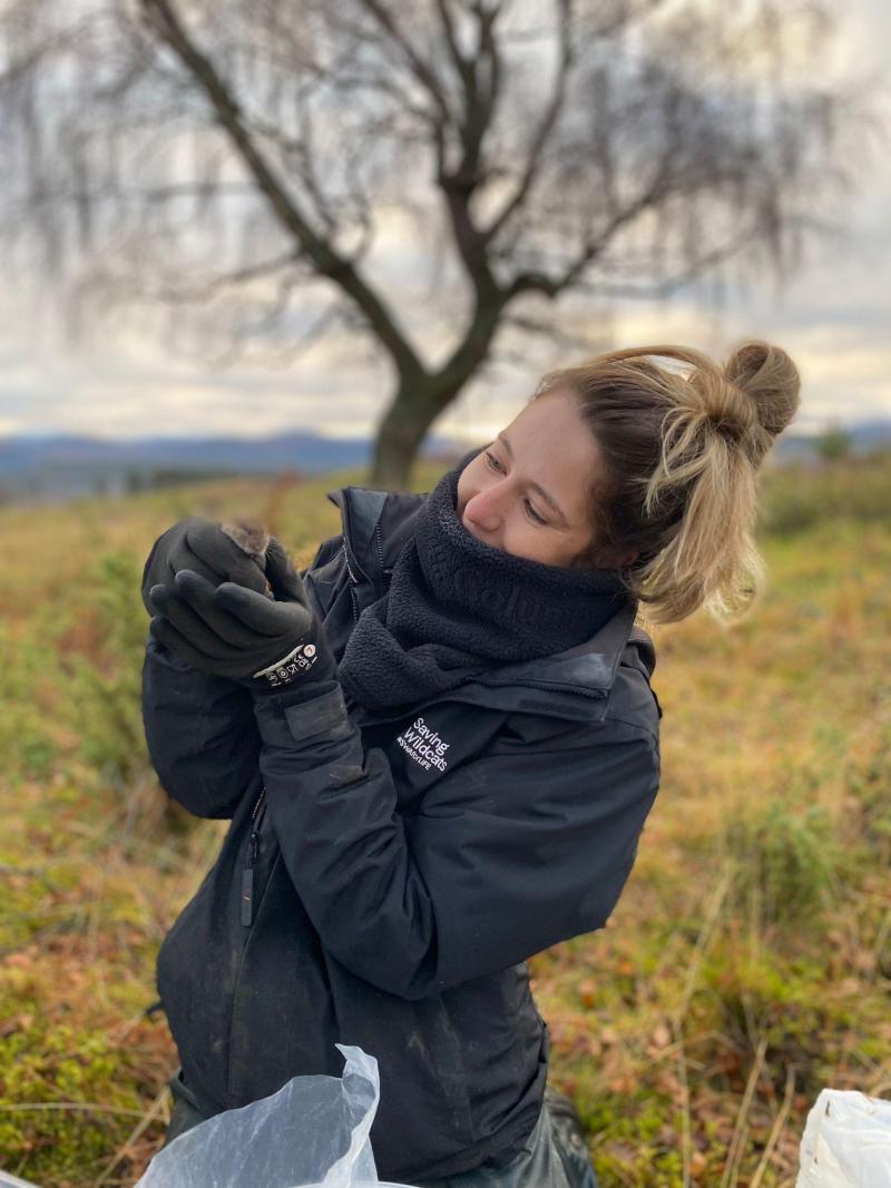 Image of Estelle wearing a black jacket, scarf and gloves, holding a vole whilst in the field carrying out a vole survey.