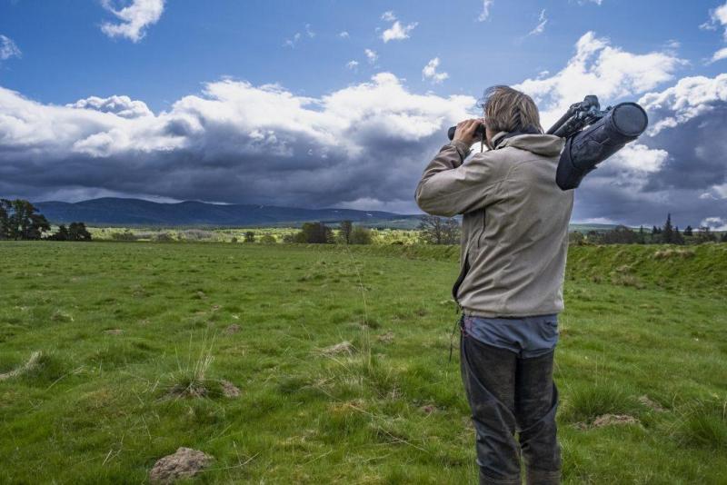 Person looking through binoculars in a field.