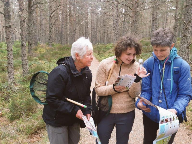 Image of three people holding short handled nets and looking at bee identification sheets to identify a bee temporarily caught in a in plastic tube at Loch Garten.