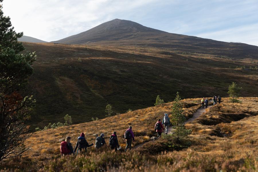 Group of people from the Community Champions Scheme walking on a mountain path.